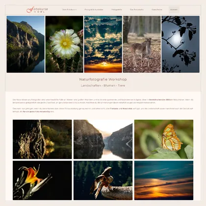 webdesign-referenz-fotokurse-owl